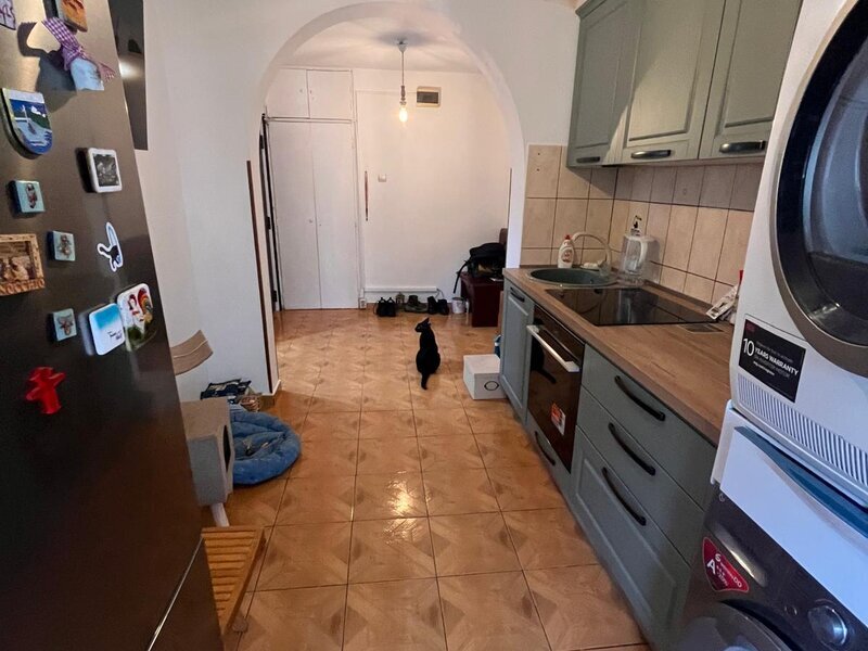 Dristor, Baba Novac, Aurel Botea