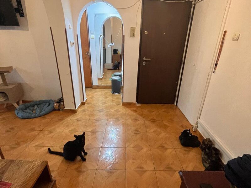 Dristor, Baba Novac, Aurel Botea